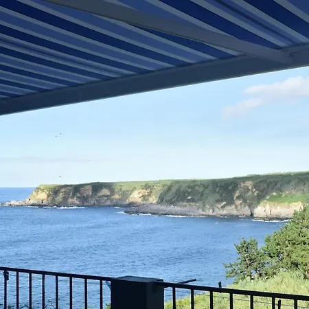 Casa Hortensias - House