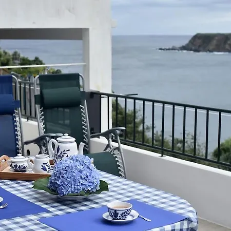 Casa Hortensias - House